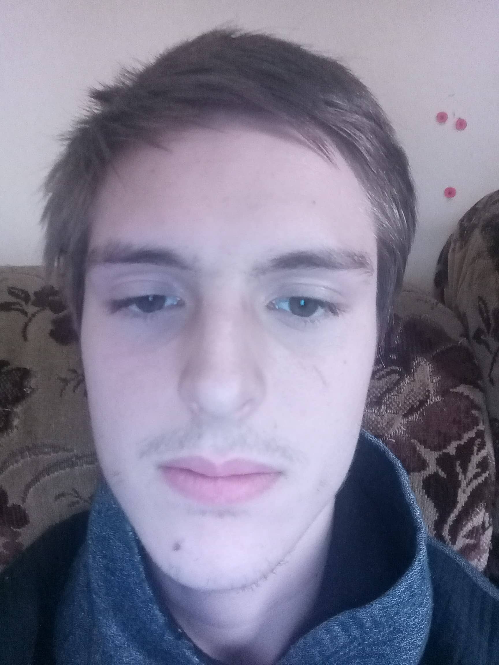 Alpha
